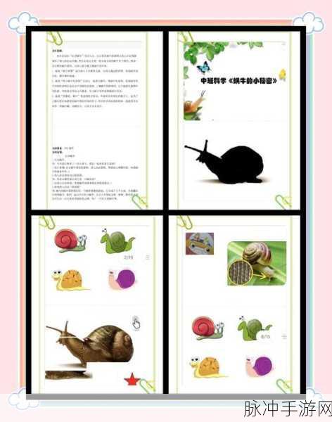 最强蜗牛,深度探秘身体部件的终极奥秘!