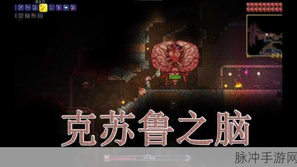 泰拉瑞亚克苏鲁之脑召唤指南,从猩红之地到终极对决