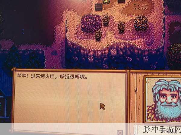 星露谷物语深度攻略，探寻莱纳斯的神秘踪迹与互动指南