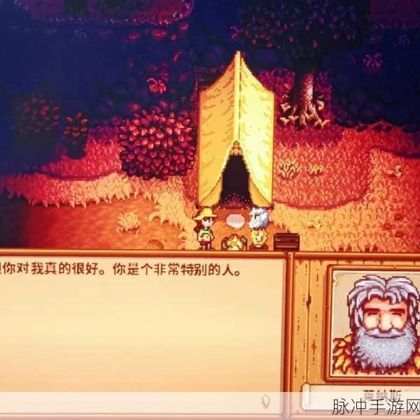 星露谷物语深度攻略,探寻莱纳斯的神秘踪迹与互动指南