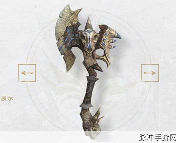 猎手之王全面装备图鉴大全,从武器到装备的深度解析