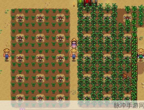 星露谷物语稻草人摆放心得深度解析