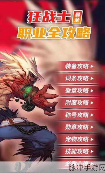 DNF手游狂战士换装技能深度剖析与全面解析