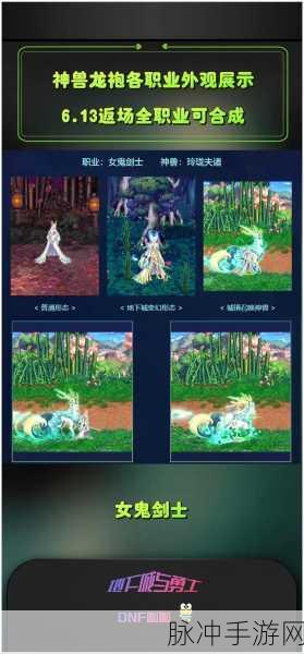 DNF龙袍选择全攻略,揭秘各职业最适合的龙袍搭配与提升策略