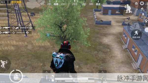 和平精英娱乐模式消失之谜,手游公司策略调整与用户期待