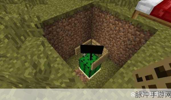 我的世界仙人掌与经验值关系深度解析