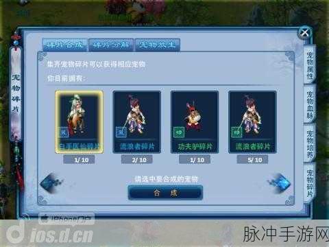 神雕侠侣手游宠物获取全攻略,免费领养与培养秘籍