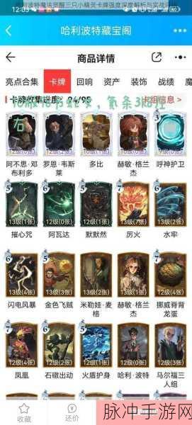 哈利波特魔法觉醒争议风波,关于侮辱女性事件的全面解析