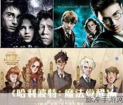 哈利波特魔法觉醒争议风波,关于侮辱女性事件的全面解析