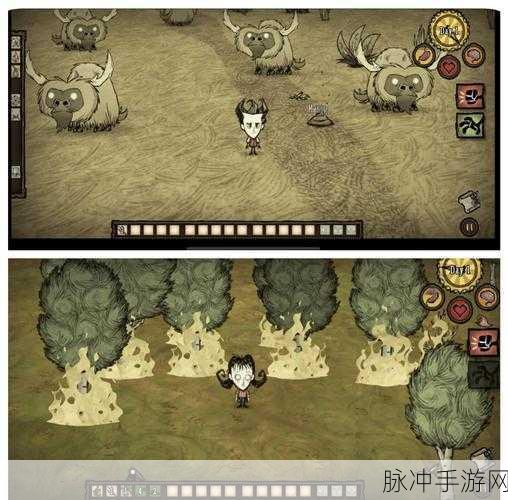 揭秘生存挑战巅峰,饥荒战场上的不败战斗神器三件套