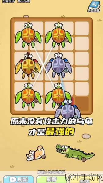 探索DNF游戏,深入剖析乌龟频道的奥秘
