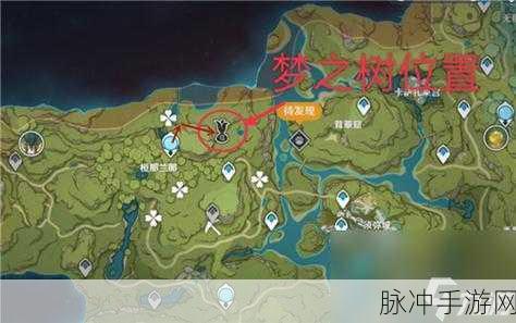 梦之边缘滑稽树位置全揭秘，深入探索我的世界中滑稽树的奇妙所在