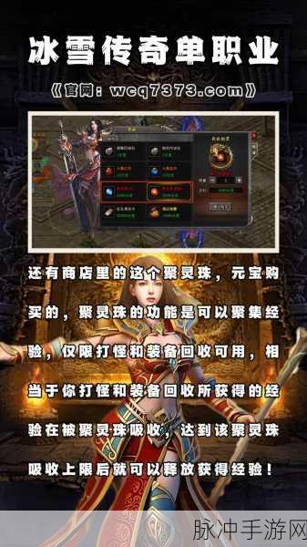 忘忧冰雪高爆单职业，重温经典传奇的极致之旅