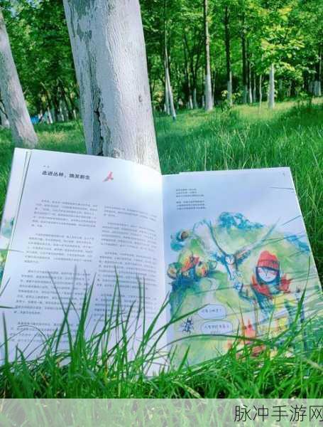 四季之春,探索自然奥秘的休闲益智冒险之旅