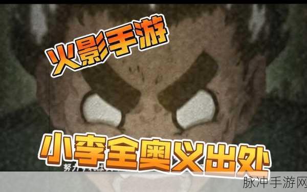 火影忍者手游全新攻略揭秘！如何高效获取李洛克奥义技能努力的天才