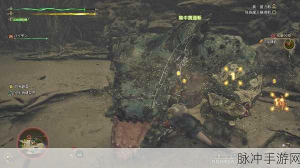 揭秘怪物猎人,探索那些深藏的隐藏宝藏与未解之谜