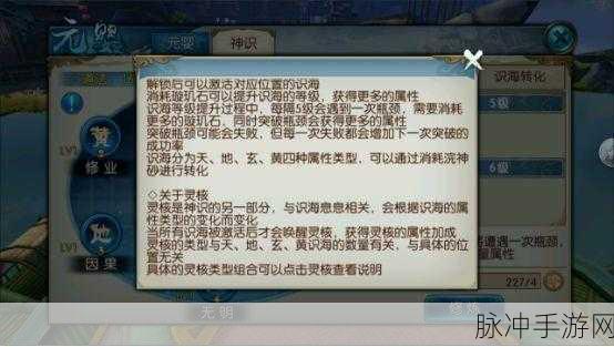 诛仙手游元婴洗练全攻略,解锁强大属性的秘诀