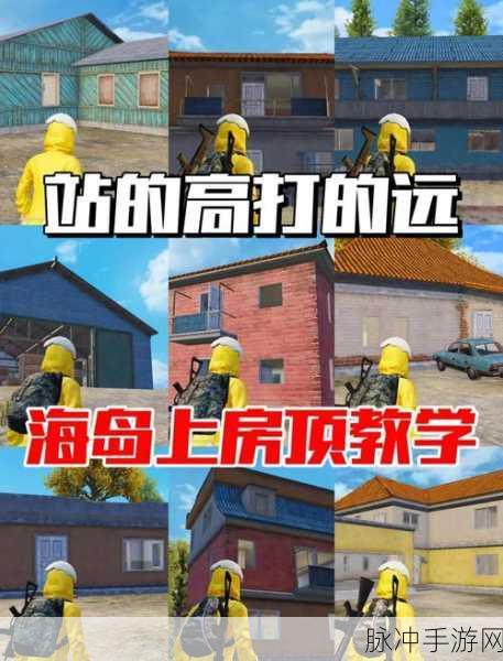 和平精英海岛地图隐藏苟分秘籍,揭秘绝佳藏身之处,助你游戏轻松上分攻略