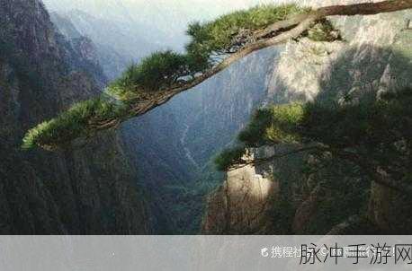 旅行物语新探索,寄居蟹角色深度解析,它究竟值不值得你倾心培养?