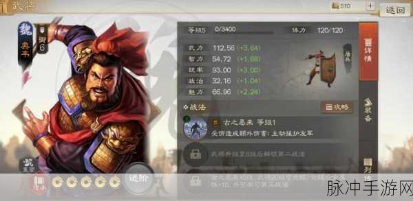 三国志战棋版典韦属性战法搭配全攻略