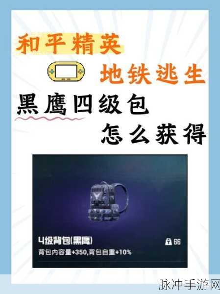 和平精英,全面攻略——如何免费获得精美皮肤?