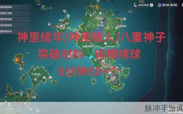 原神神里绫人突破必备,绯樱绣球高效采集攻略
