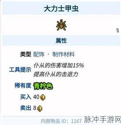 泰拉瑞亚甲虫套全攻略,效果介绍与制作详解