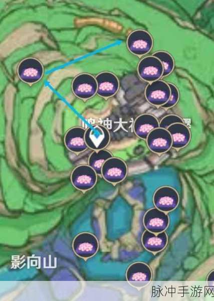 原神神里绫人突破必备,绯樱绣球高效采集攻略