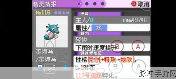 口袋妖怪漆黑的魅影,梦幻之地探寻神秘的梦幻精灵所在