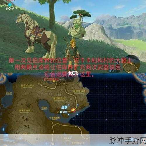 塞尔达传说手游攻略，探寻伯库林的踪迹