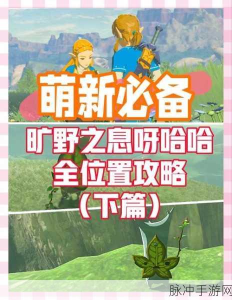 塞尔达传说手游攻略,探寻伯库林的踪迹