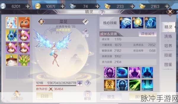 完美世界手游攻略,精灵内丹搭配详解
