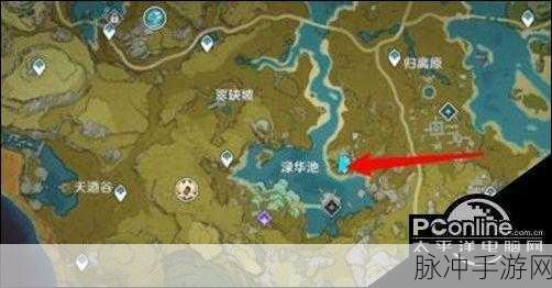 原神叩访仙府六个火柱全攻略，解锁秘境的奥秘与技巧详解