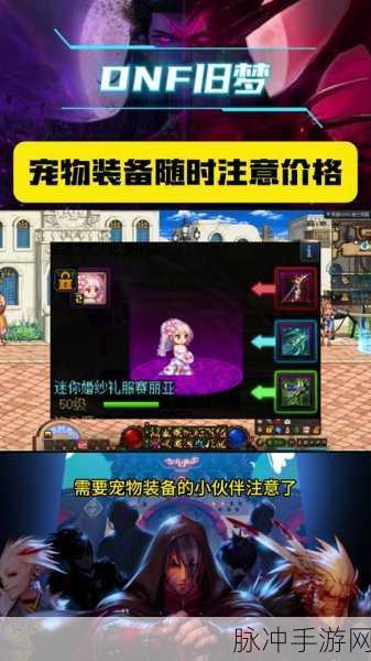 DNF新春版本,全面解析如何挑选最适合你的宠物装备攻略