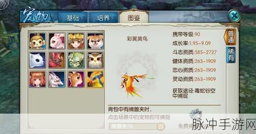 诛仙手游深度攻略，稀有宠物与普通宠物的全面对比