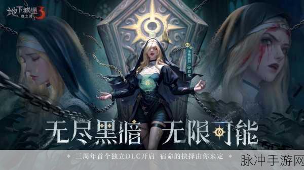 地下城堡3，葬途抉择——深度解析帮谁策略