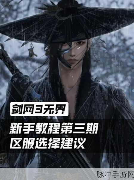 剑网3无界攻略，老区与新区选择全解析，新手老区发展VS新区开荒指南