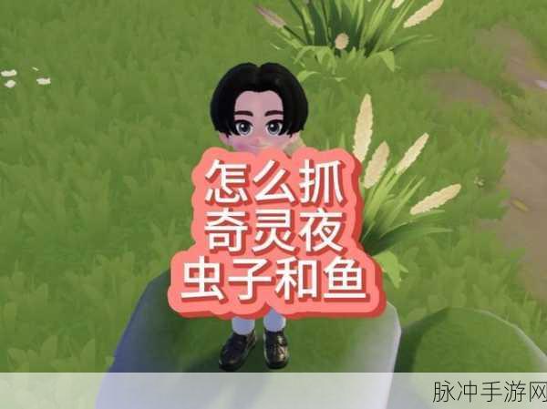 心动小镇探秘，追寻紫紫飘飘灰尘虫的奇幻旅程全攻略