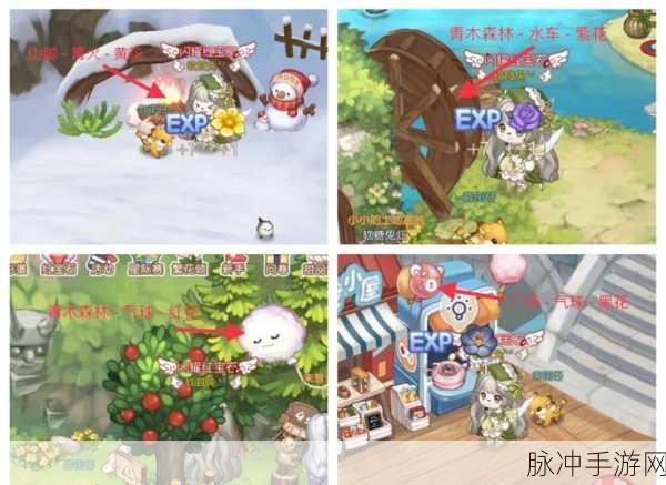 奥比岛手游色花的神秘所在,全面探寻色花位置攻略及深度游戏指南