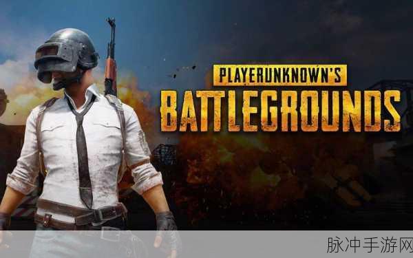 吃鸡生化精英下载,探索非常刺激的冒险生存之旅