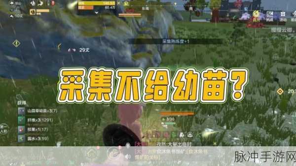 妄想山海手游攻略,揭秘幼苗精的合成之道