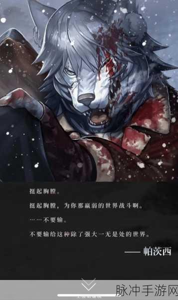 命运冠位指定空之境界联动,新从者阵容搭配及深度攻略