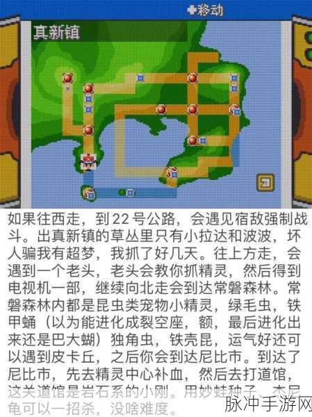口袋妖怪叶绿版攻略，深度解析幽灵塔关卡通关技巧