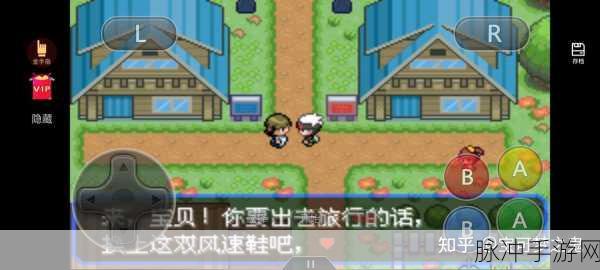 口袋妖怪叶绿版攻略,深度解析幽灵塔关卡通关技巧