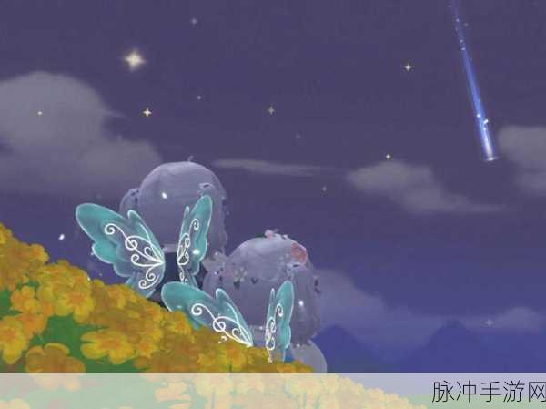 摩尔庄园手游流星雨观赏全攻略,出现位置与详细解析