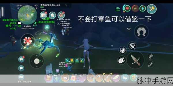 章鱼捕捉全攻略，创造与魔法中的章鱼饲料制作秘籍