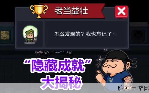 元气骑士,老当益壮成就全攻略与高效解锁秘籍