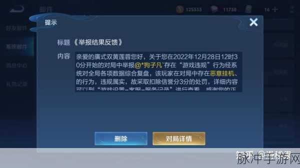 王者荣耀攻略，鹰眼护卫队邮件误删解决方案