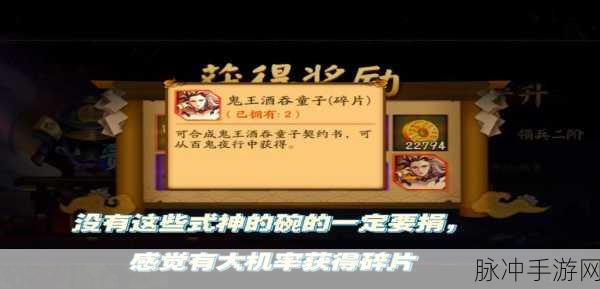 阴阳师手游攻略，解锁终局的全面指南