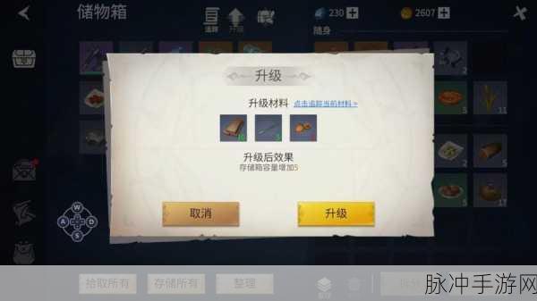 冰原守卫者攻略，深度解析营地储藏箱用法，助你高效管理与利用空间